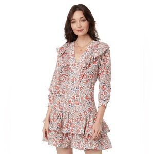 Vineyard Vines Ivy Ruffle Floral Dress NWT size 6